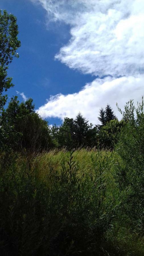 Loz'Aire Naturelle Quezac  Buitenkant foto